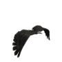 Benutzeravatar