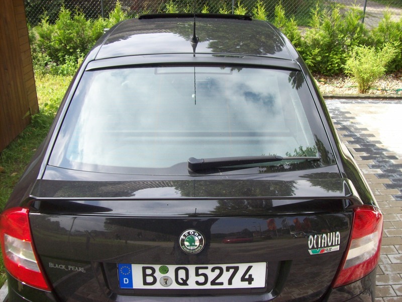 100_0001jpzm.jpg