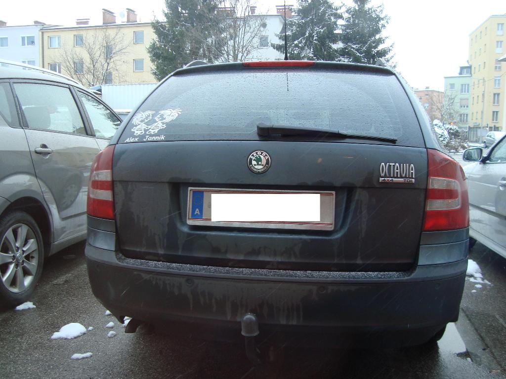 DSC01253.JPG