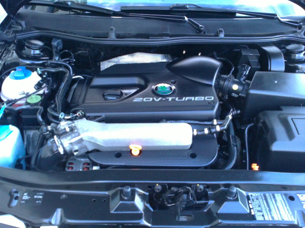 18012011517 [1024x768].JPG