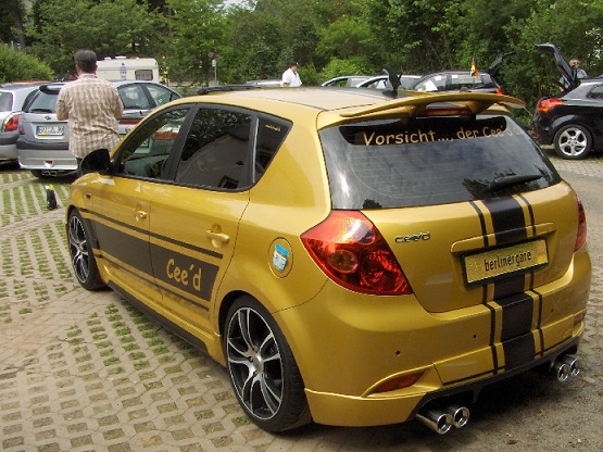 Erzi 2010 016a.jpg