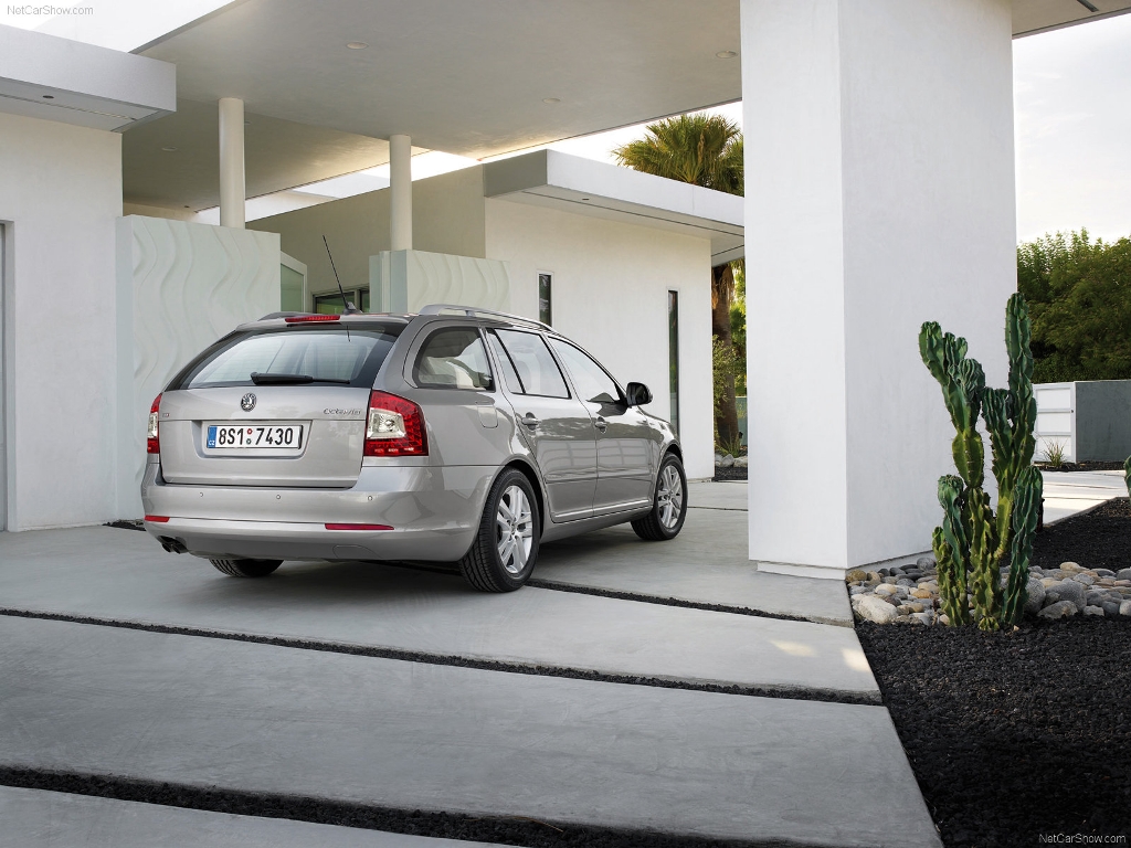 Skoda Octavia Combi Dectance Litec Fake.jpg