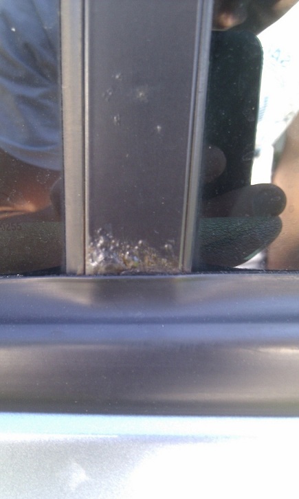 IMAG0480.jpg