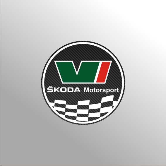 skoda_motorsport_carbon.JPG