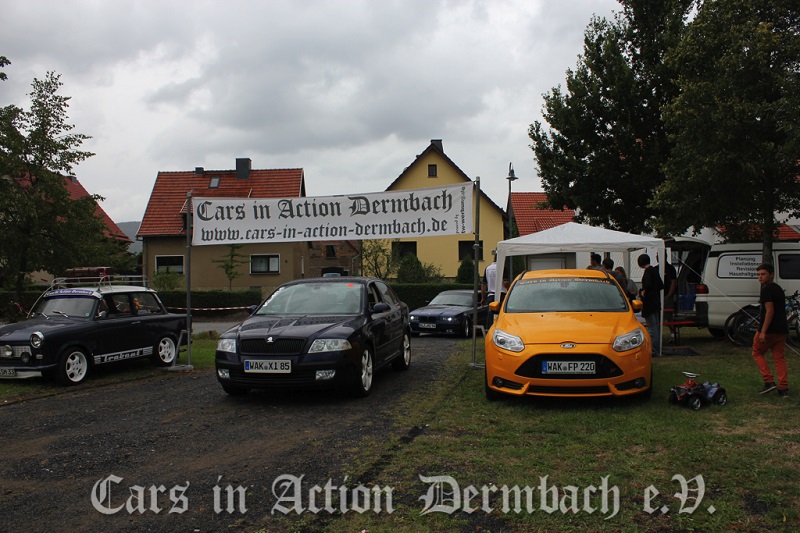 cars-in-action-dermbach-2013-146.jpg