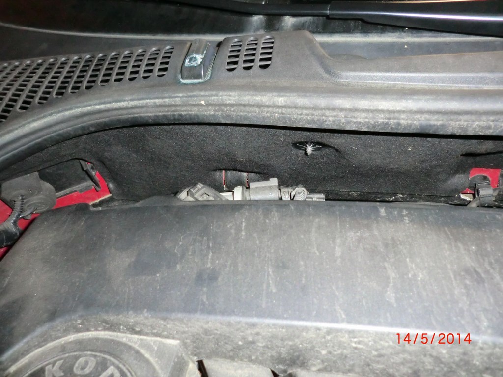 CIMG3186 (Kopie).JPG